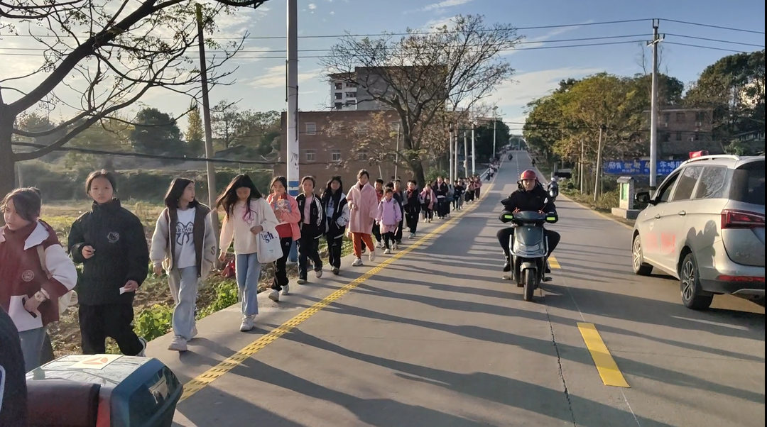 流峰镇：多举措保障交通安全，优化镇区环境