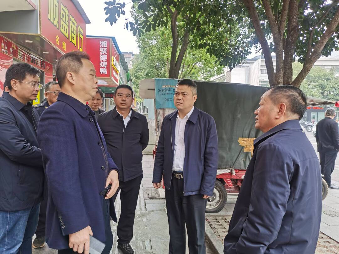 巫初华调研乡镇重点工作和项目建设等工作