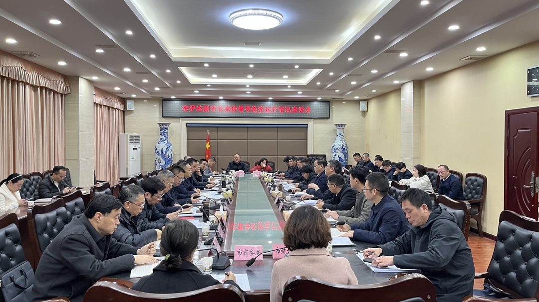 李罗丝来我县督导经济运行情况