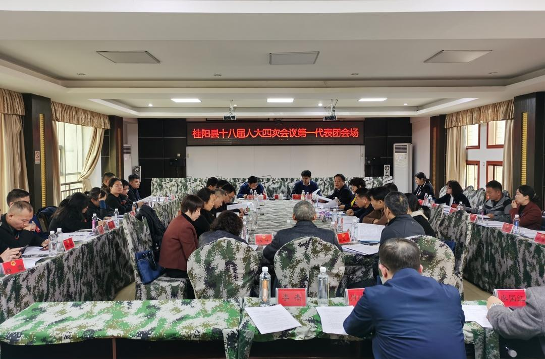 聚焦两会│县第十八届人民代表大会第四次会议各代表团开展分组讨论  建睿智之言 献务实之策 尽发展之力