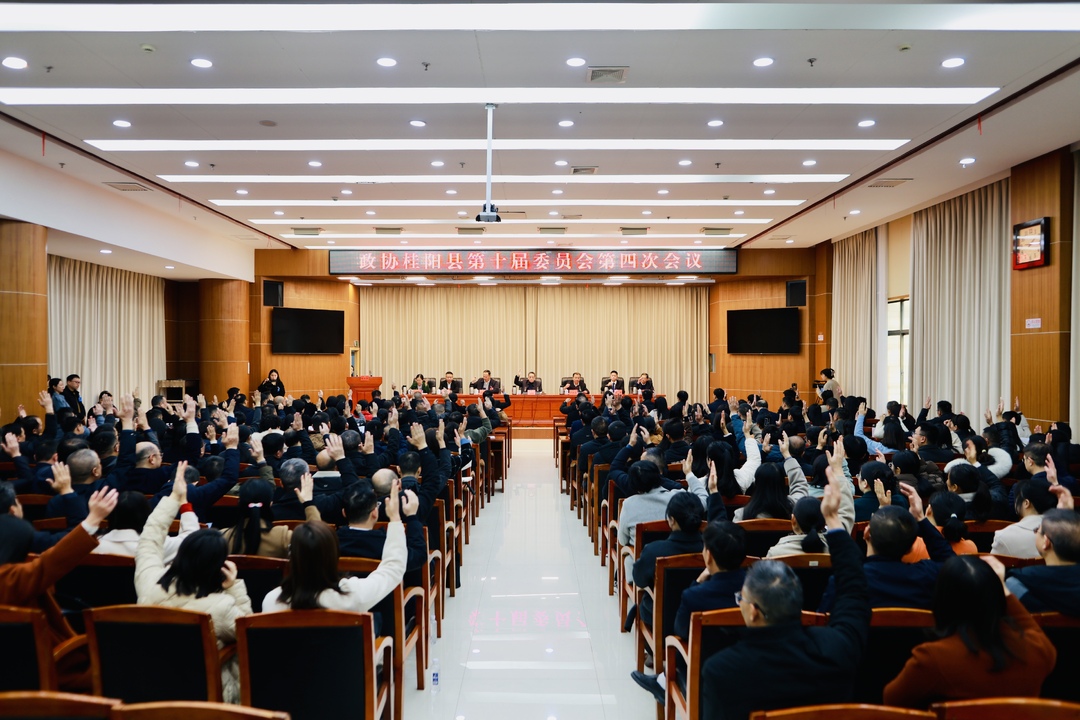 聚焦两会│政协桂阳县第十届委员会第四次会议举行第二次全体会议