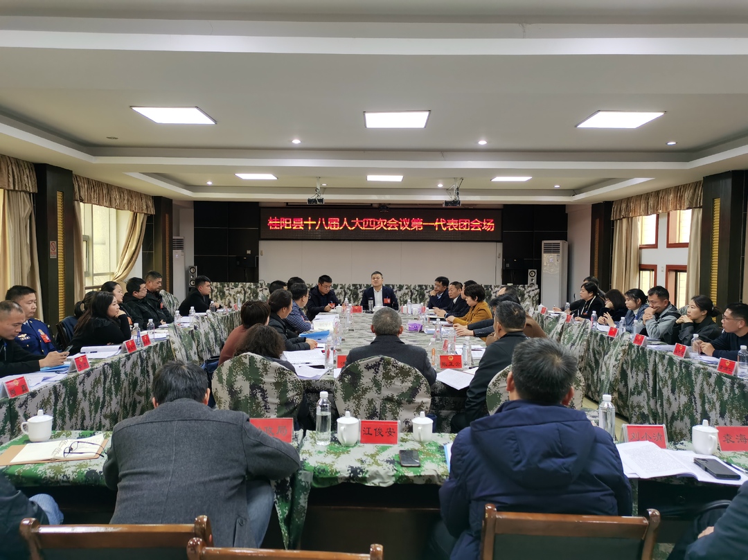 聚焦两会丨巫初华参加县第十八届人民代表大会第四次会议第一代表团讨论