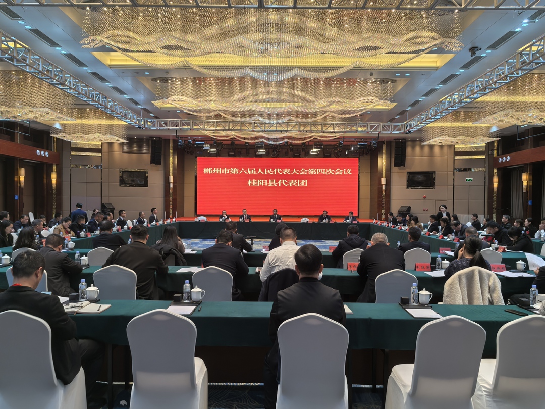 市六届人大四次会议：彭生智参加桂阳代表团审议