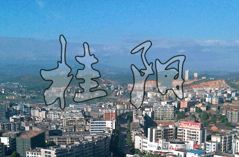 市民谈收获  展愿景