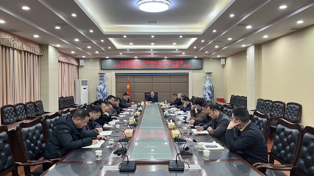 县政府办机关一支部开展12月份主题党日暨“一月一课一片一实践”活动