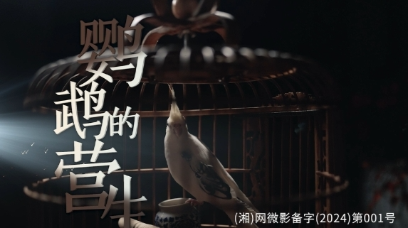 网络普法湘当过影丨第一集：鹦鹉的营生