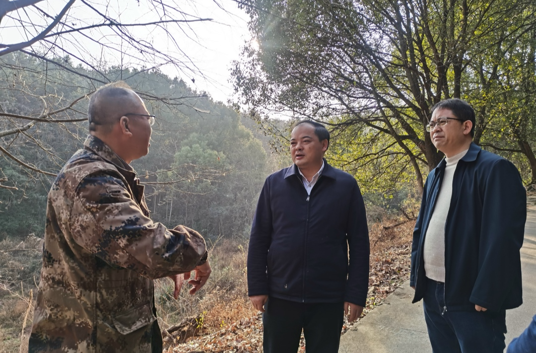 李志强调研森林防火、安全生产和春节保供工作