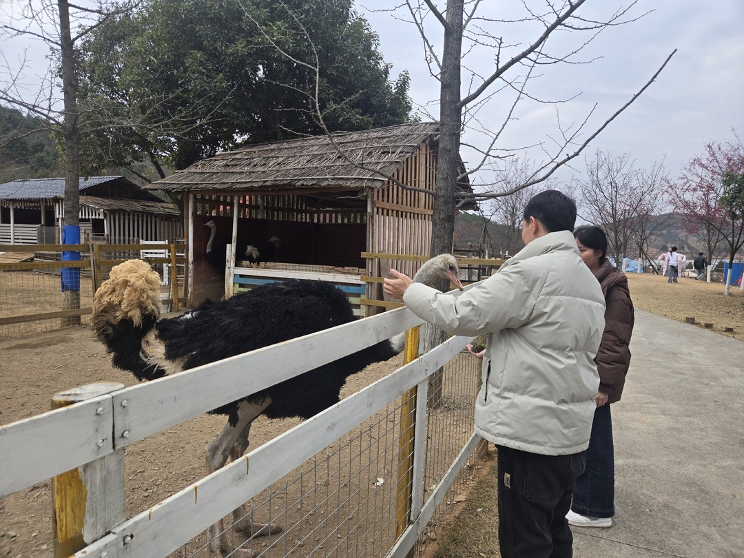 新春走基层｜春节假期亲子游 儿童乐园“人气”旺