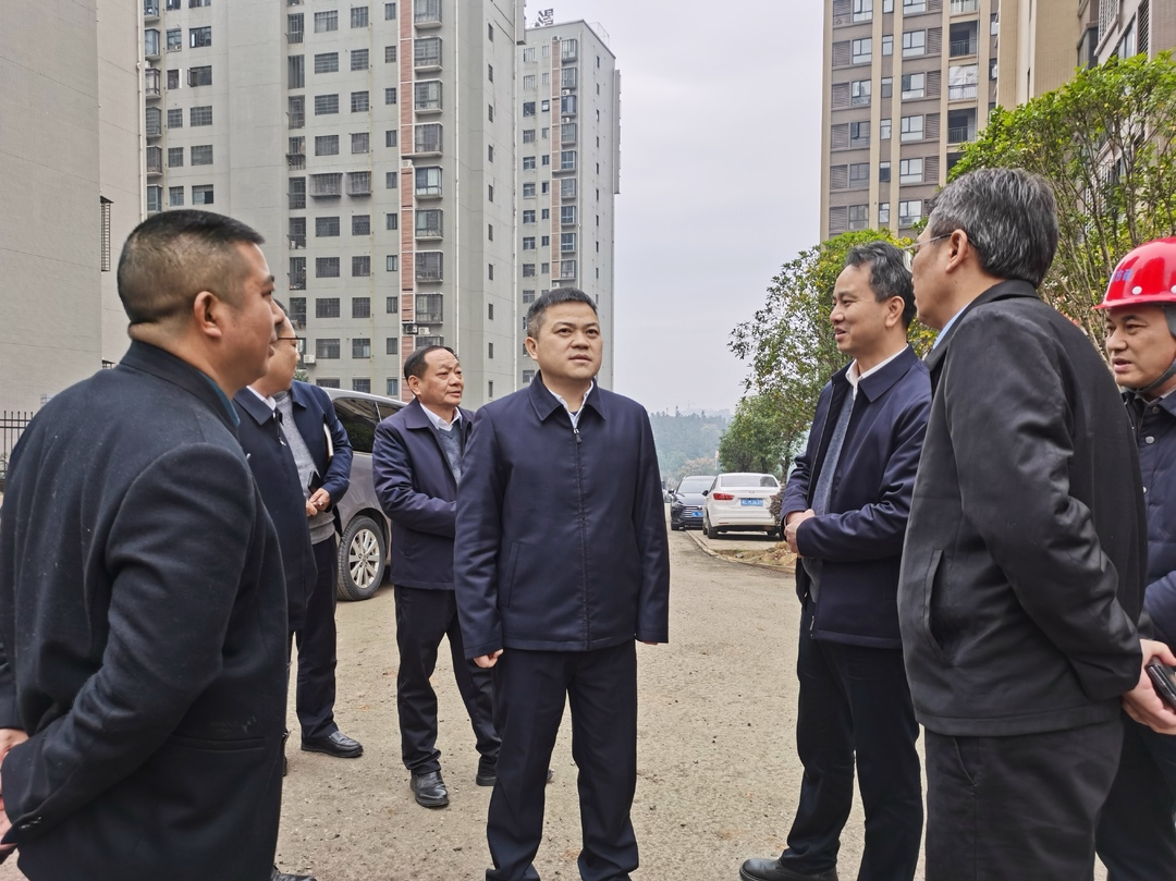 巫初华调研重点项目开（复）工和安全生产工作