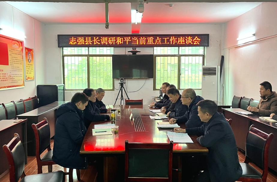 李志强深入部分乡镇调研当前重点工作