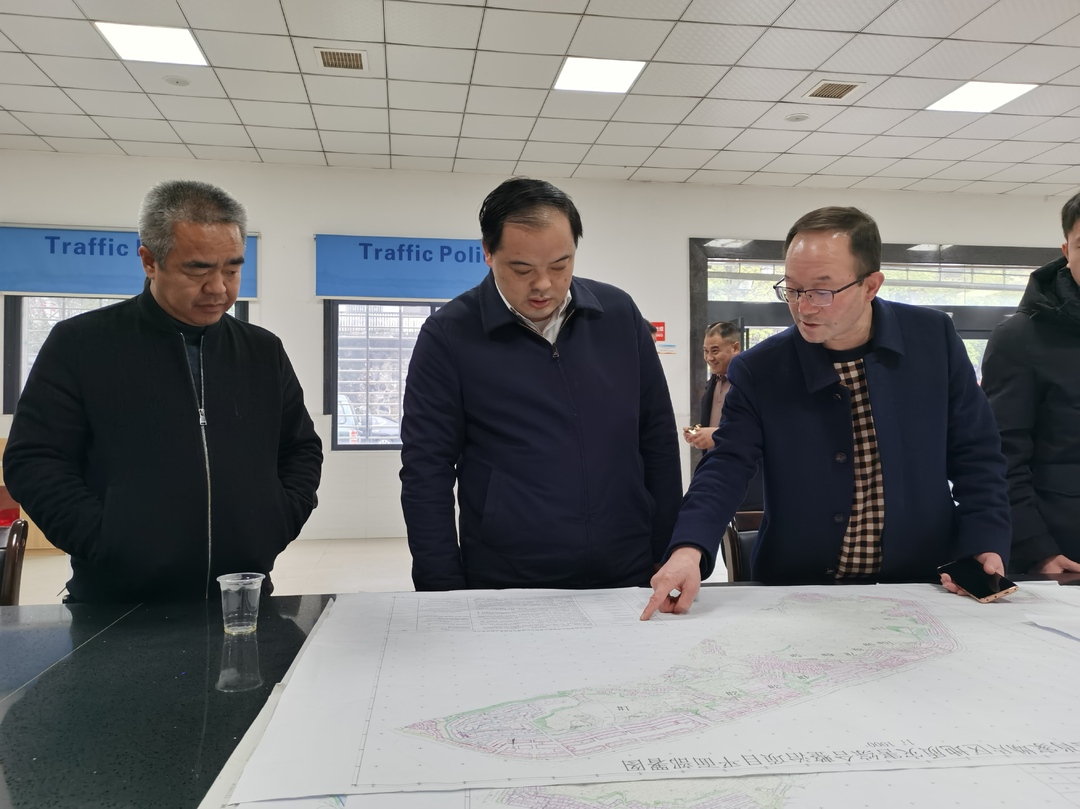深入推进“六大新行动” 全面实施“七大攻坚”｜李志强调研肖家坳片区地质灾害综合治理工作