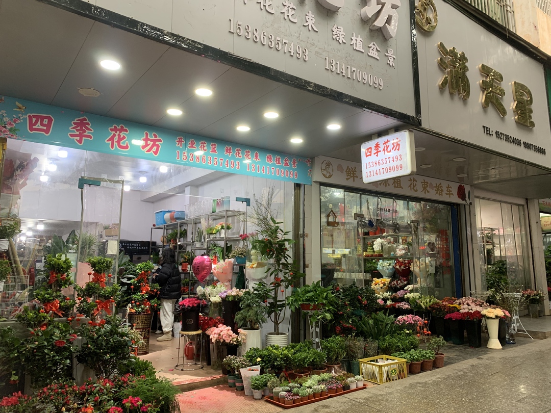 人勤春早｜鲜花绿植市场升温 春日色彩点亮生活