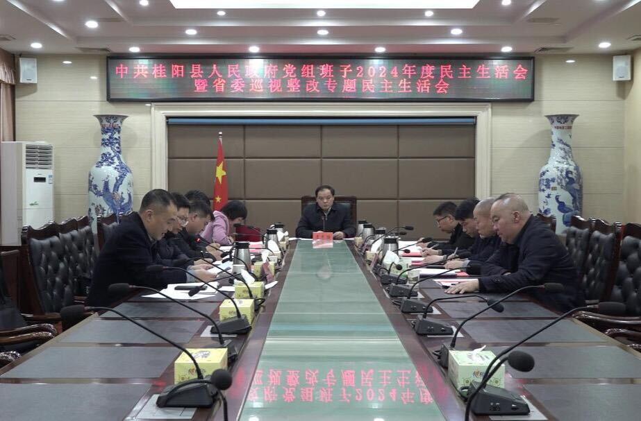 县政府党组班子召开2024年度民主生活会暨省委巡视整改专题民主生活会