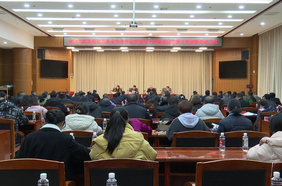 我县召开2024年度县直机关及企事业单位党组织书记抓基层党建工作述职评议会