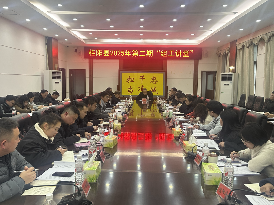我县举办2025年第二期“组工讲堂”