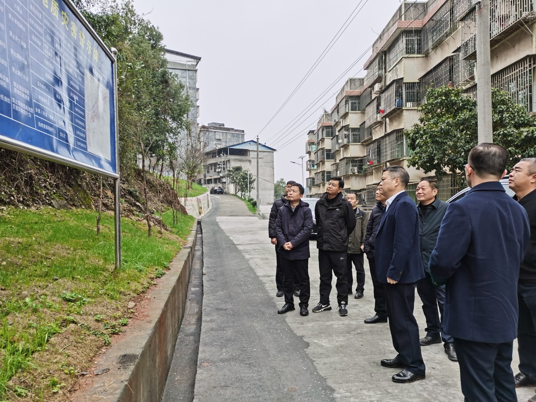巫初华督导检查地质灾害防治工作