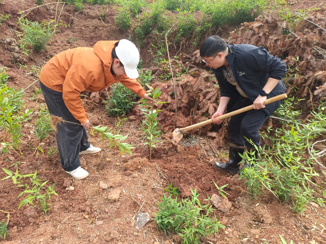 桂阳南方红豆杉柔毛油杉自然保护区管理站开展植树节主题活动