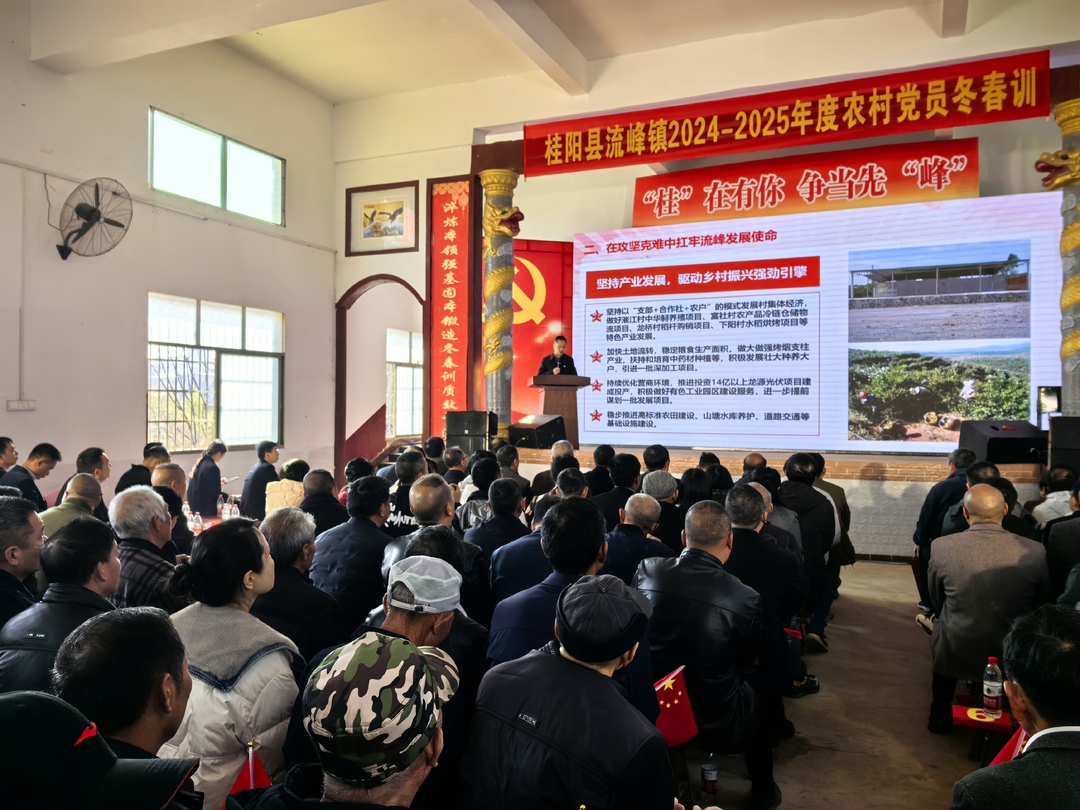 流峰镇开展2024—2025年度农村党员冬春训