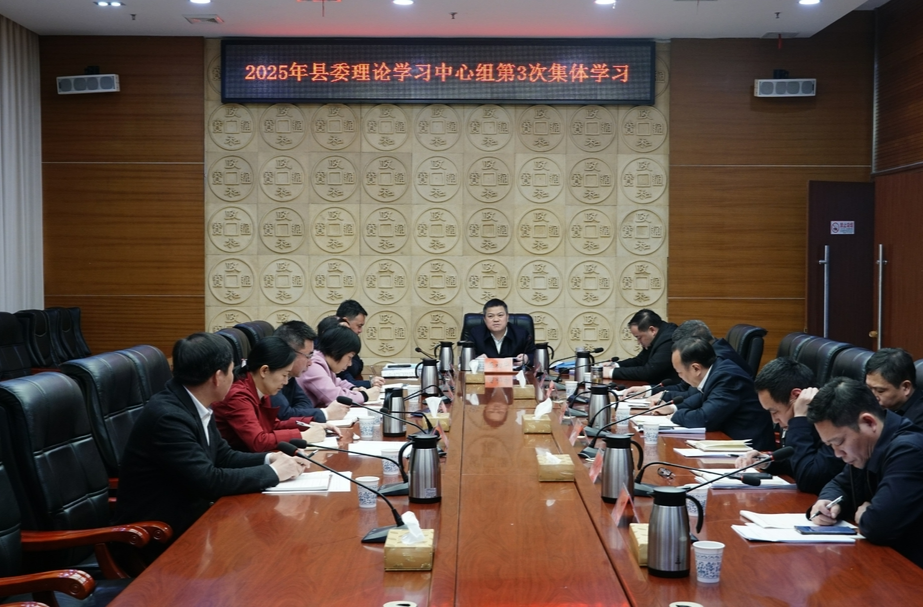 县委理论学习中心组举行2025年第3次集体学习