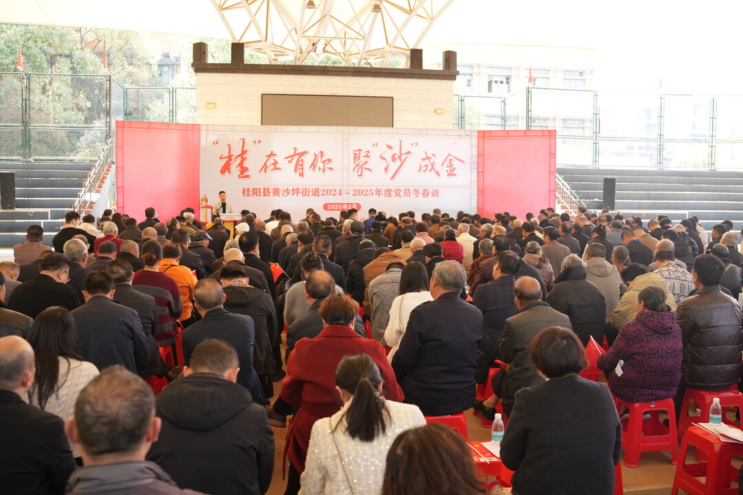 黄沙坪街道开展党员冬春训