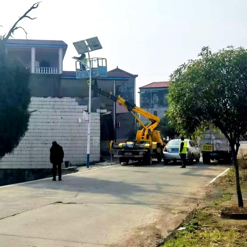 荷叶镇：小路灯照亮黑夜 微实事润泽民生