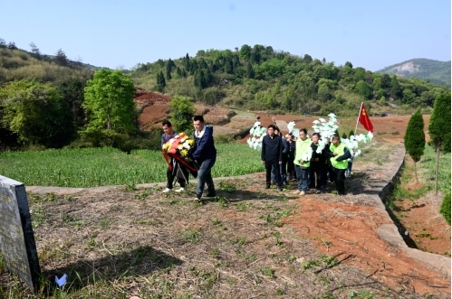 和平鎮(zhèn)：清明祭英烈，精神永傳承