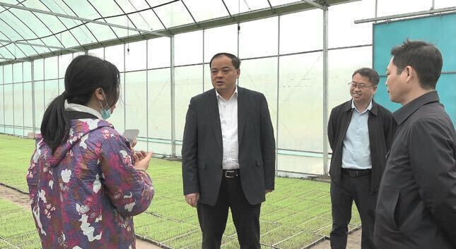 李志强调研早稻生产、森林防灭火及防汛备汛工作