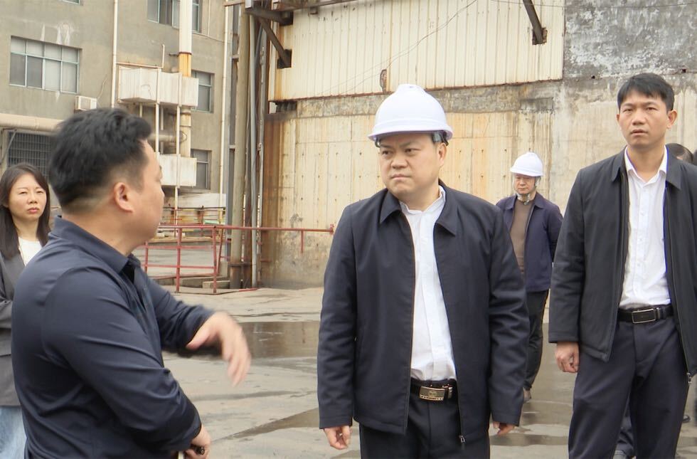 巫初华调研桂阳高新区安全生产和生态环保工作