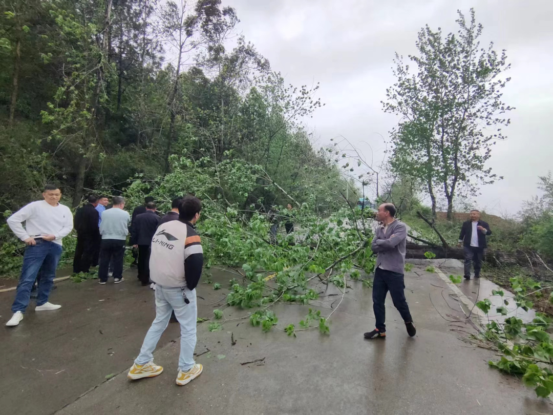 敖泉镇：迅速应对极端天气 高效清理道路恢复交通