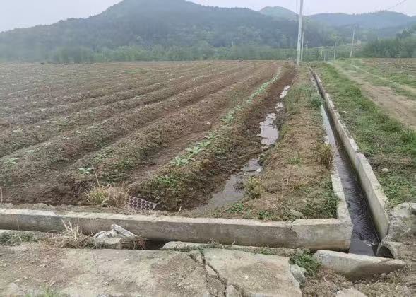 黄沙坪街道：巡察东风劲吹，民生福祉添彩