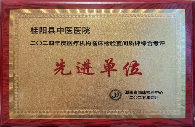 喜报！桂阳县中医医院又获一项省级荣誉
