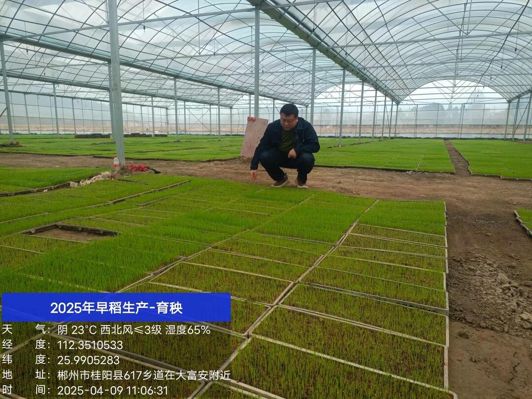 塘市镇：稳步推进早稻生产 多措并举力保粮食安全