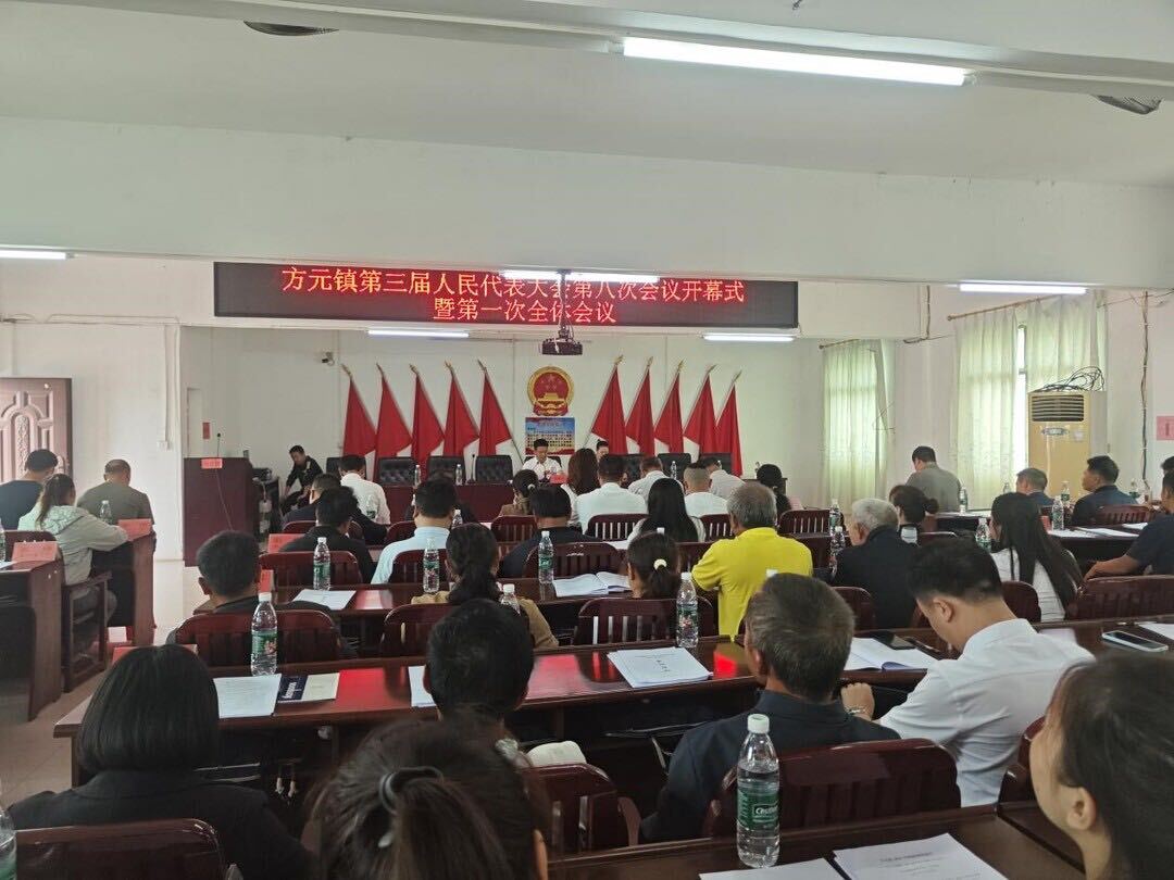 方元聚智绘宏图 代表凝心谱新章  ——方元镇召开第三届人民代表大会第八次会议