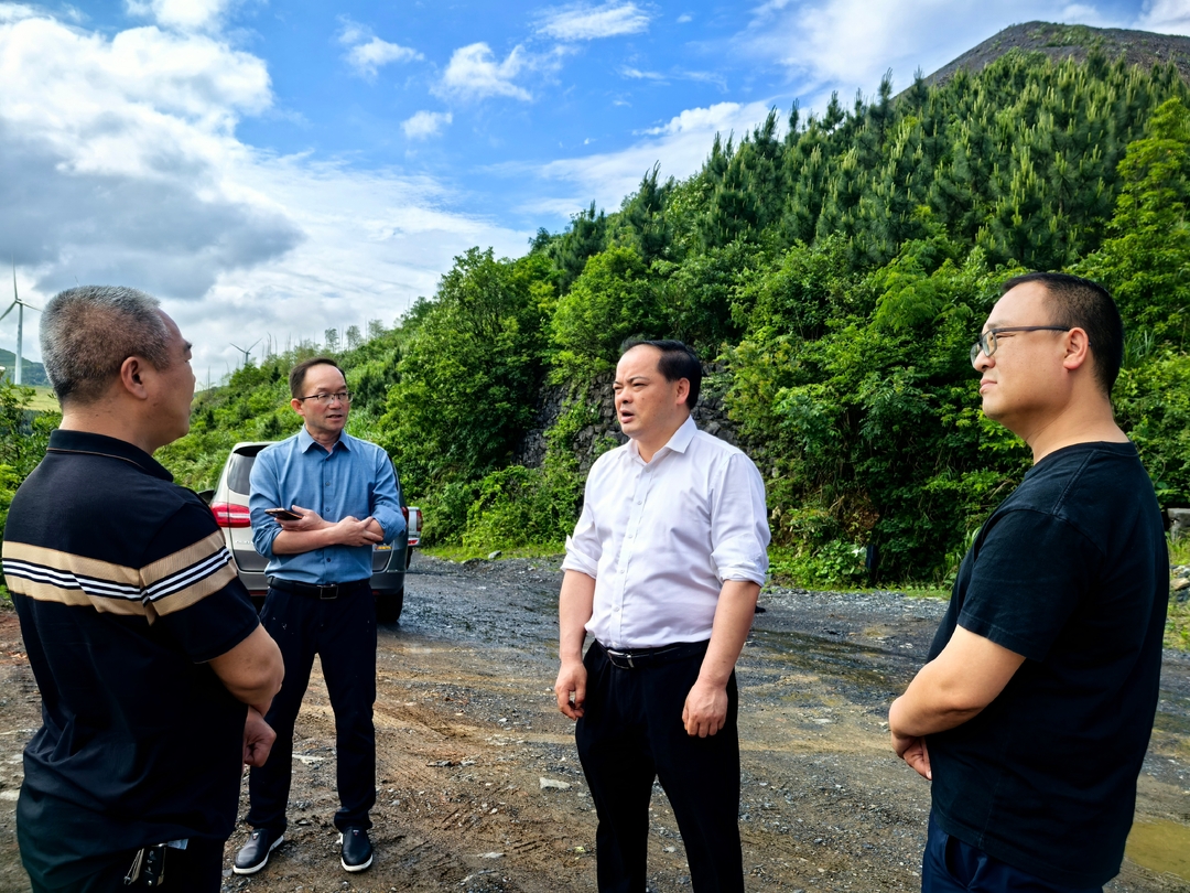 李志强调研矿山生态修复项目推进情况
