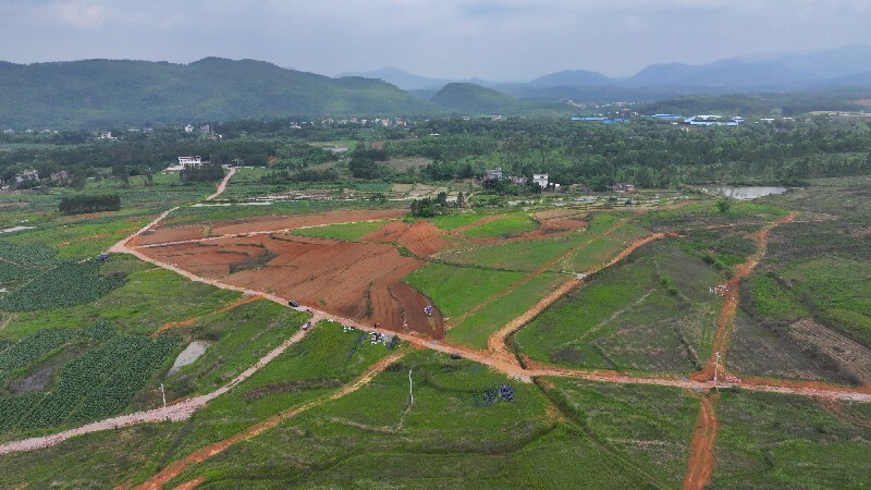 深入推進(jìn)“六大新行動” 全面實施“七大攻堅” | 我縣大豆種植忙 機(jī)械化播種助增收