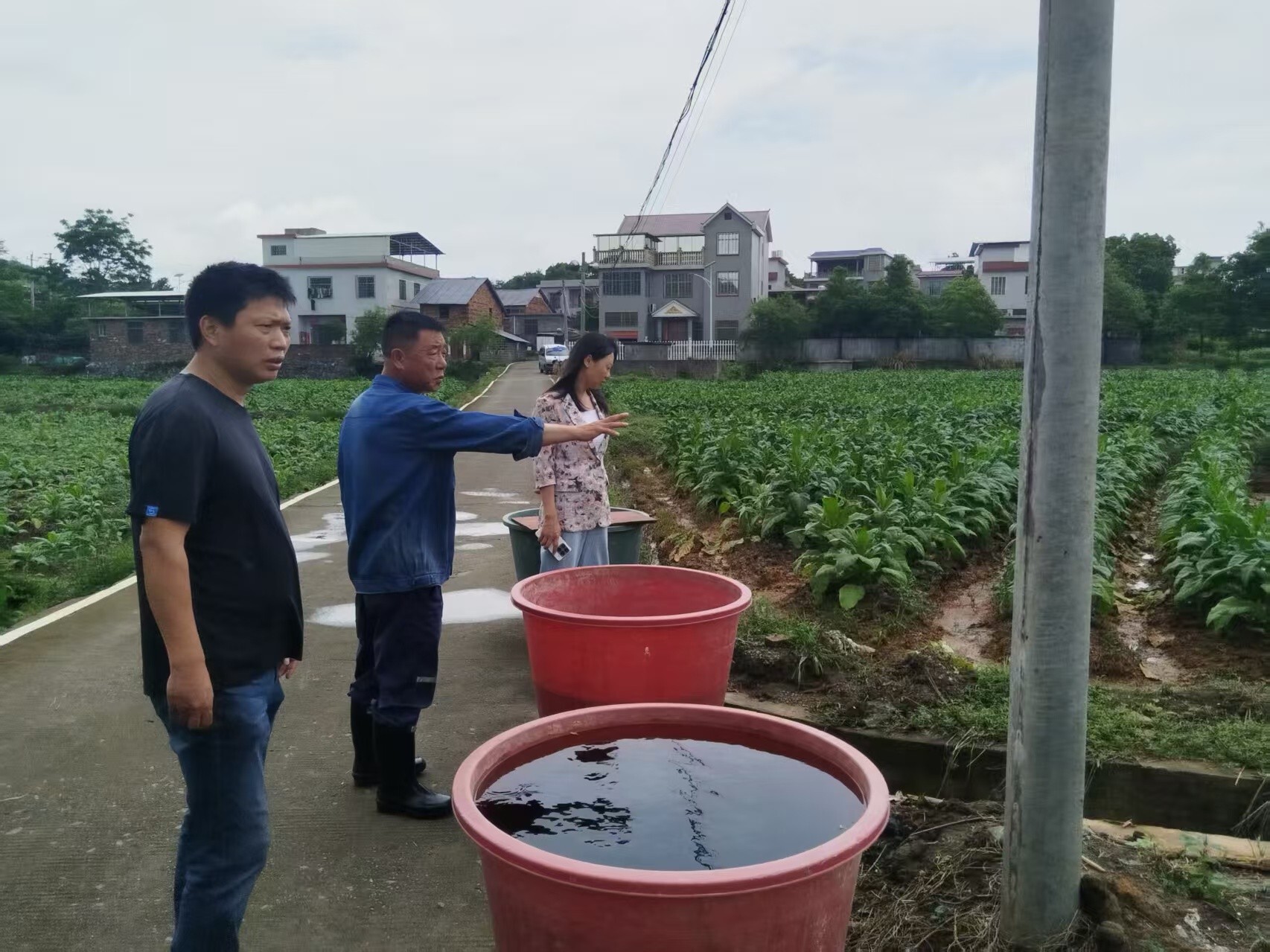 桂阳高新区闻“汛”而动  民生营商“双护航”