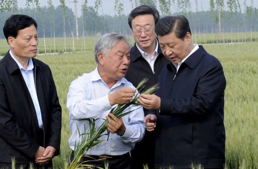 学习进行时丨是贡献，也是奉献——习近平总书记和河南的故事