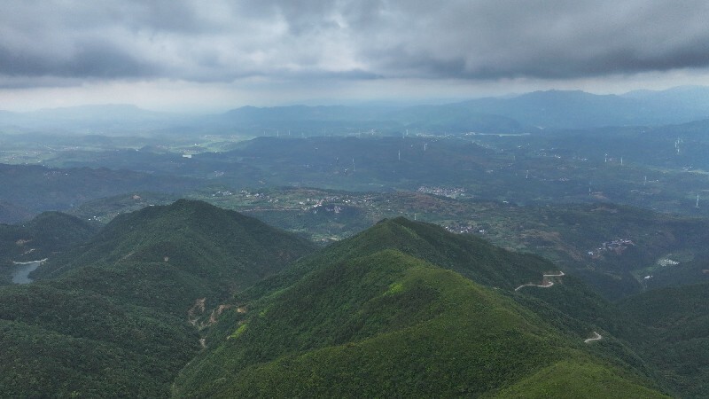 深入推进“六大新行动” 全面实施“七大攻坚”丨逐“风”追“光”   向“新”向“绿”发展