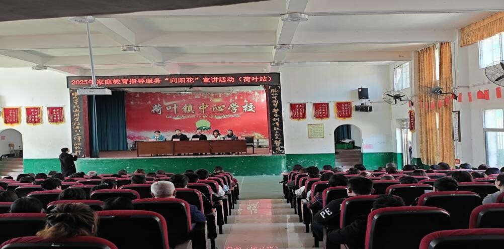 荷叶镇：巾帼善治绽芳华，基层绣笔绘新篇