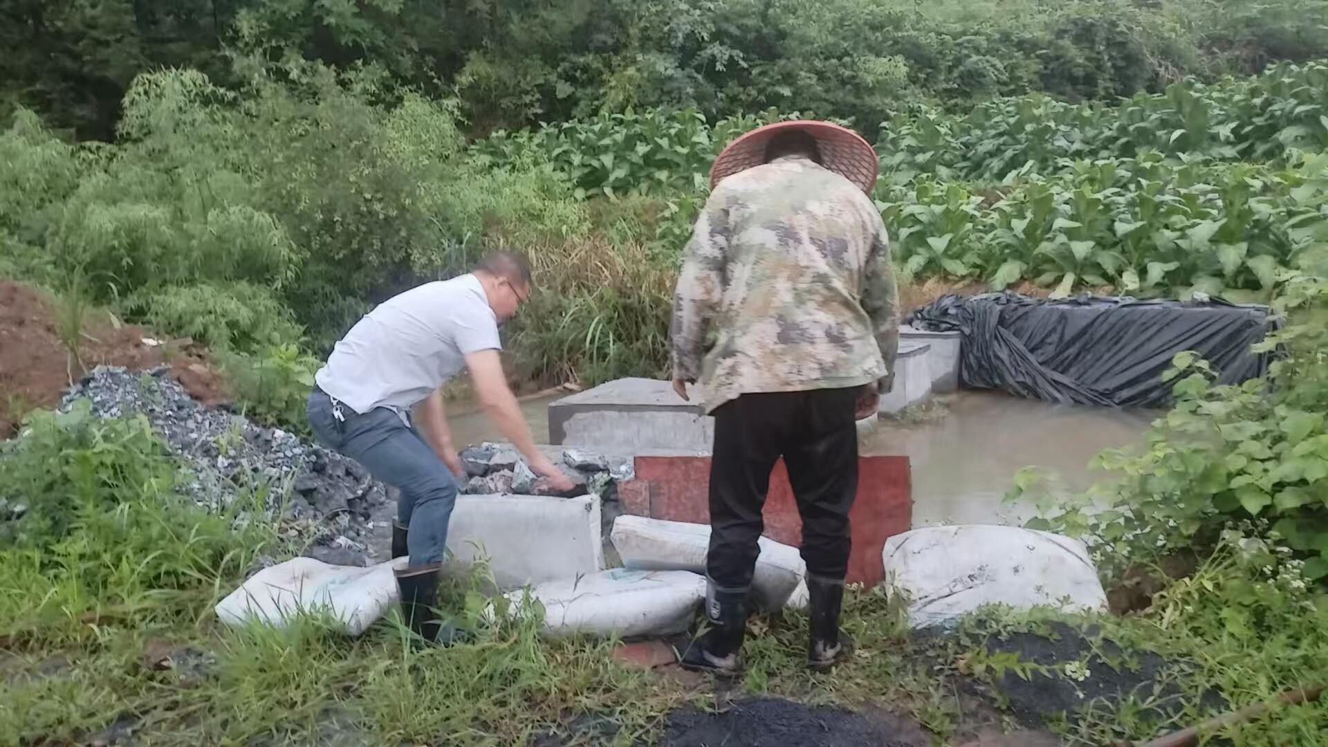 洋市镇：迎“汛”而上镇村干部齐下沉守平安