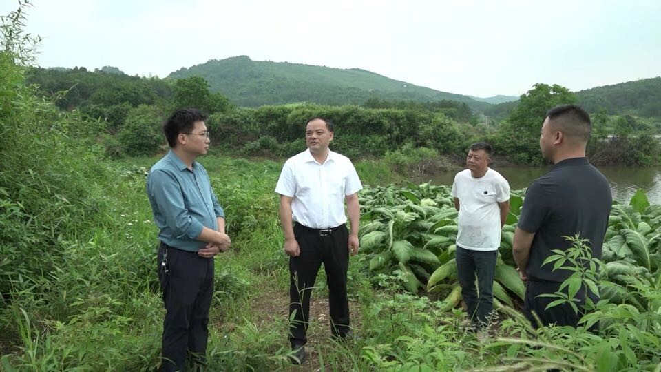 李志强践行“四下基层”开展巡林、巡田、巡河暨“走找想促”活动