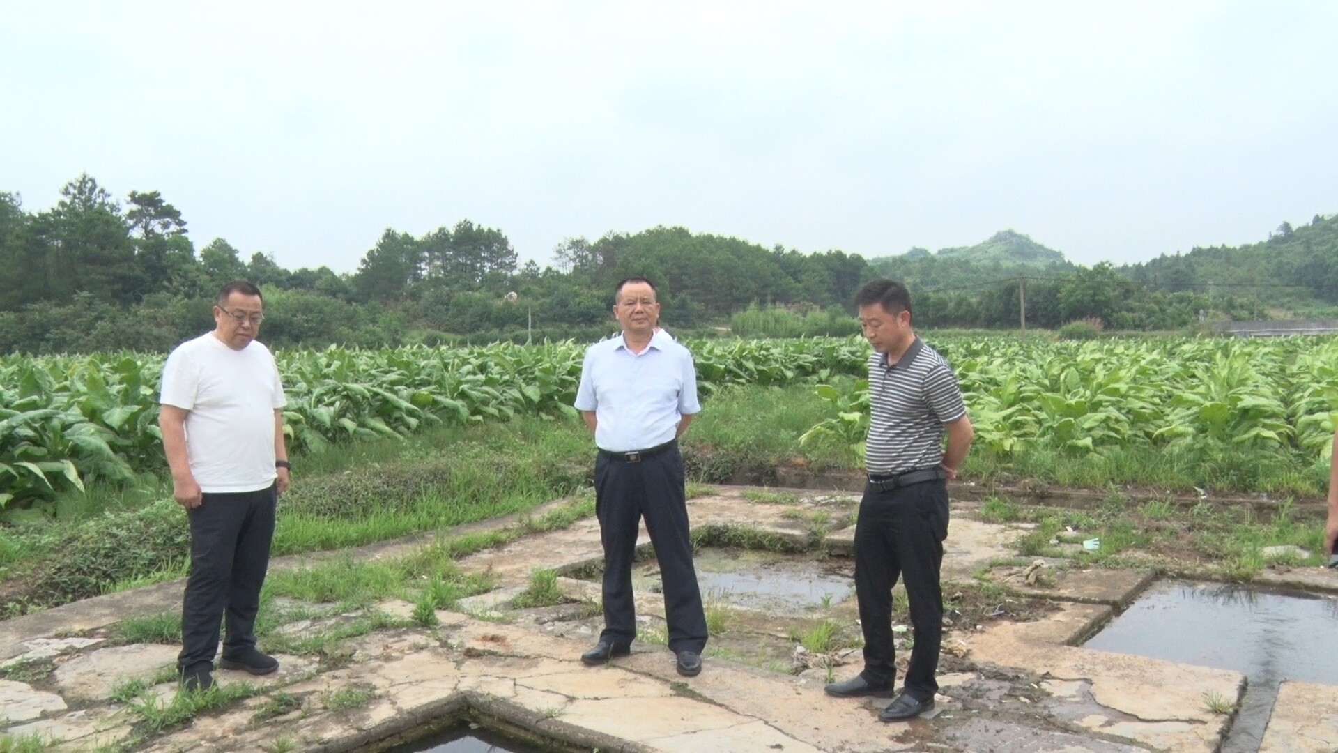 刘久正到洋市镇参加“代表有约”活动