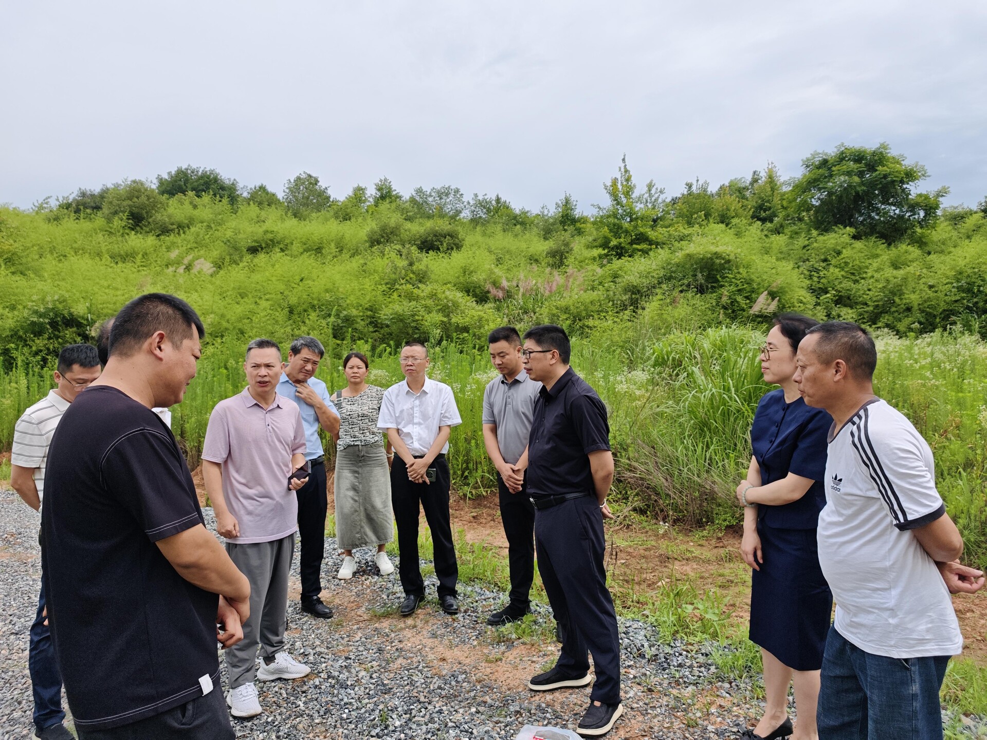 樟市鎮(zhèn)人大：“代表有約”——聽民聲解民憂促工作
