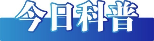 今日辟謠（2025年8月12日）