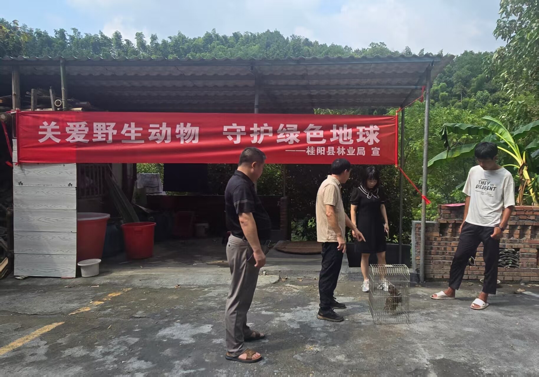 我縣放飛獲救助野生貓頭鷹    繪就生態(tài)和諧畫卷