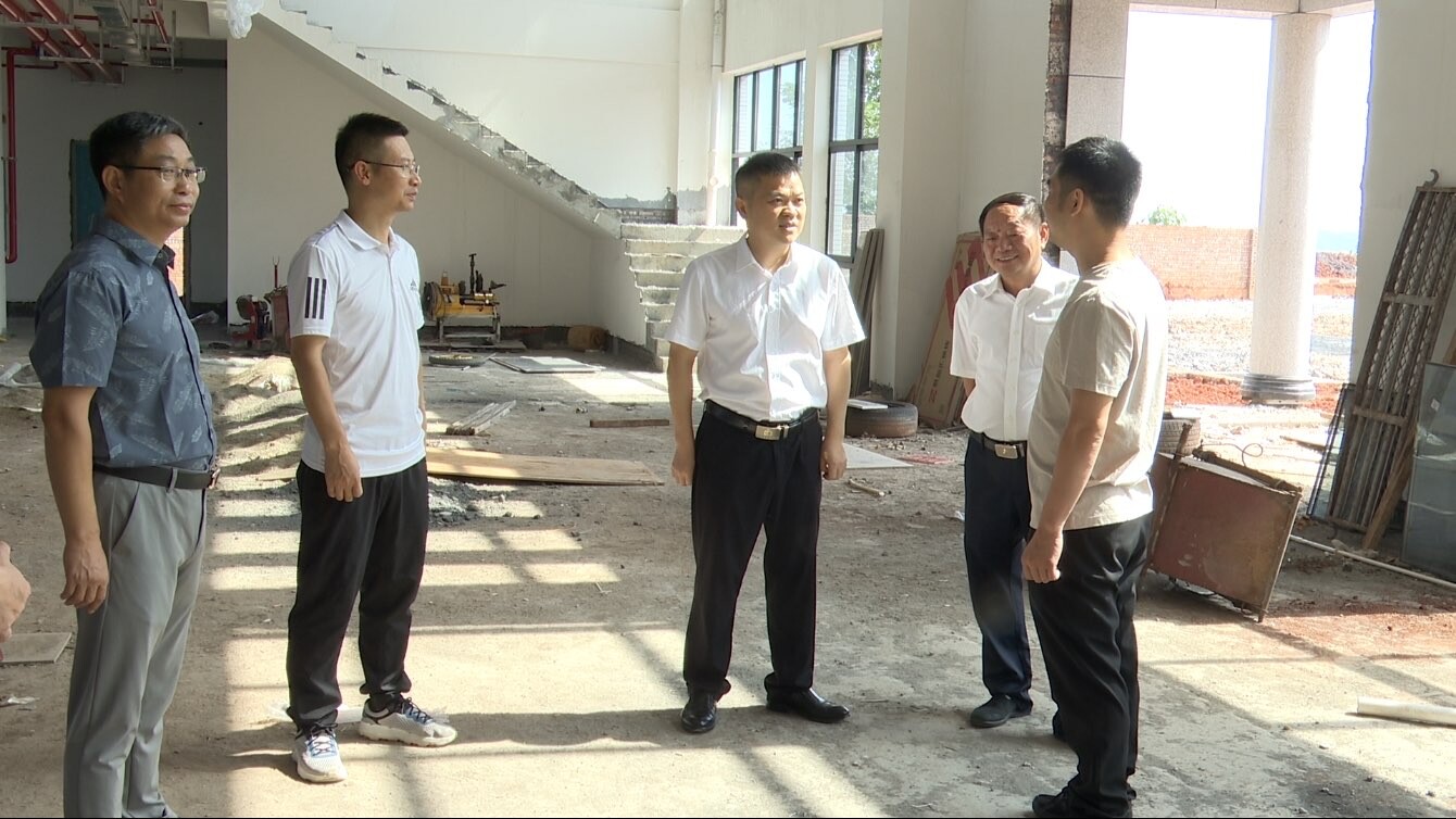 巫初华调研桂阳高新区项目建设工作