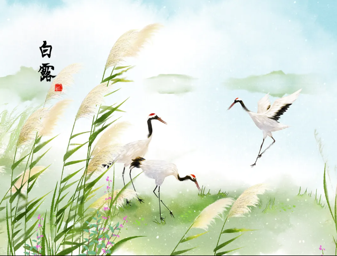二十四节气之中医养生——白露