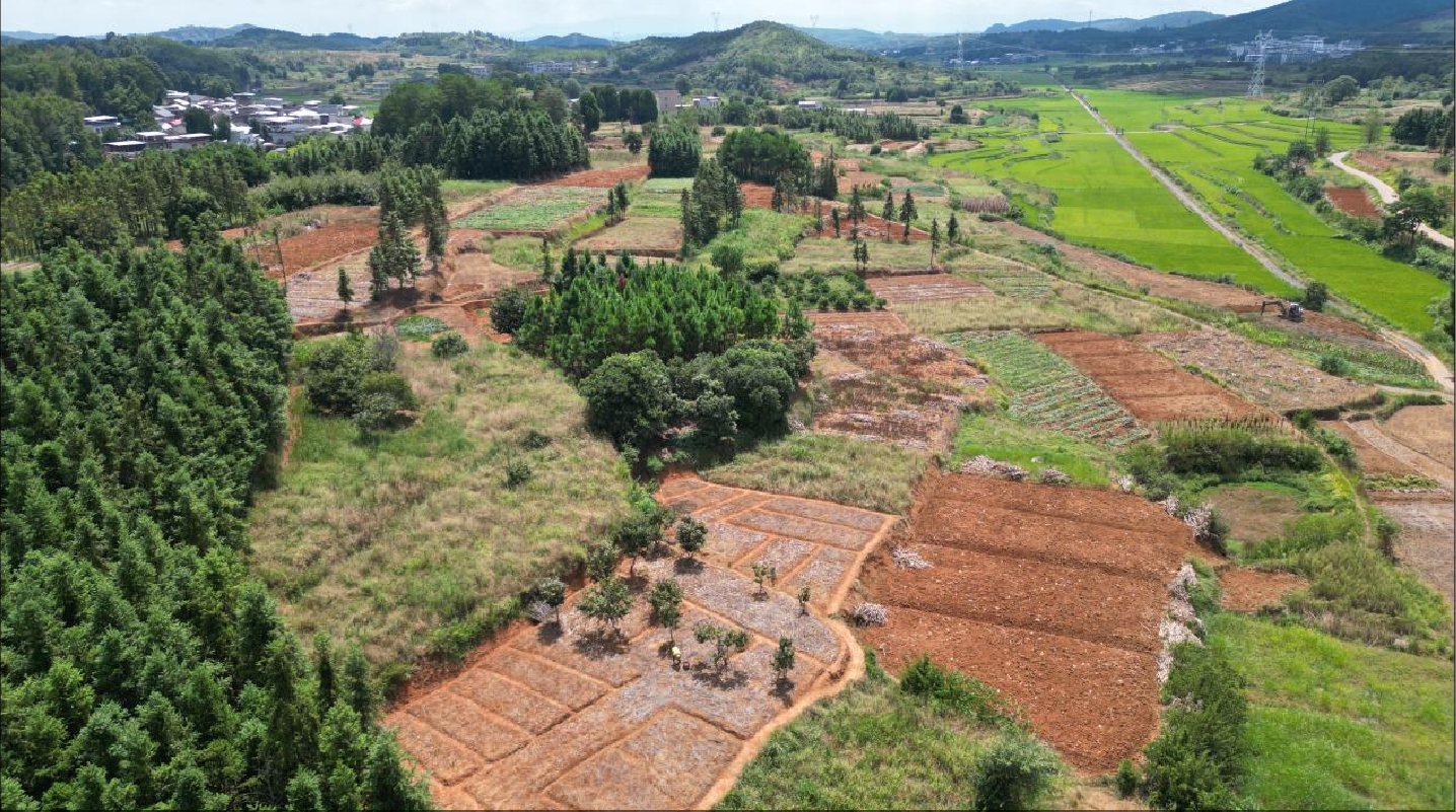敖泉镇：“三防联动” 织密秸秆禁烧网 绘就生态新图景