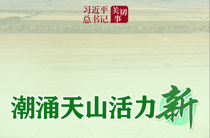 习近平总书记关切事丨潮涌天山活力新