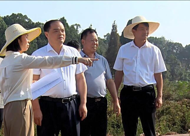 李志强践行“四下基层”调研森林防灭火、大气污染防治工作暨开展“走找想促”活动
